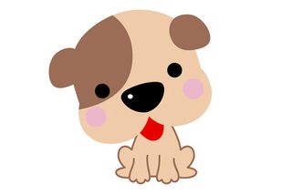 강아지 그림 카드